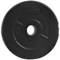 krazek-1,25kg-bit-100kg-4gryfy.jpg