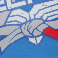 jiu jitsu_niebieski a.png