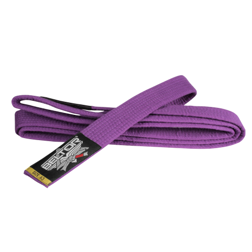 purple-gi-belt.png