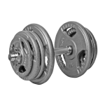 Hantla żeliwna hammertone 25kg 28mm